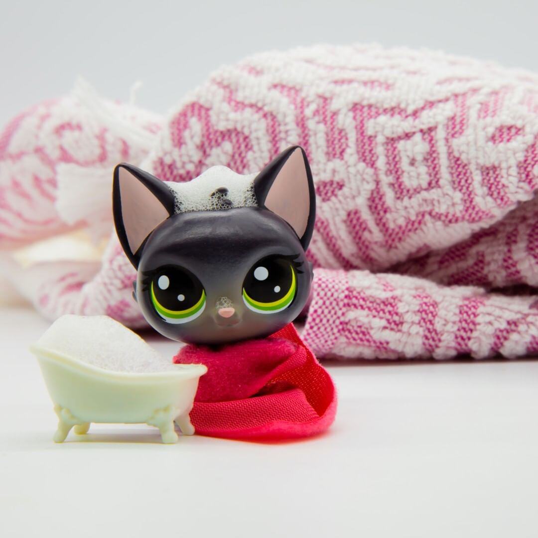 pickle-lps-8 pickle-lps-8
